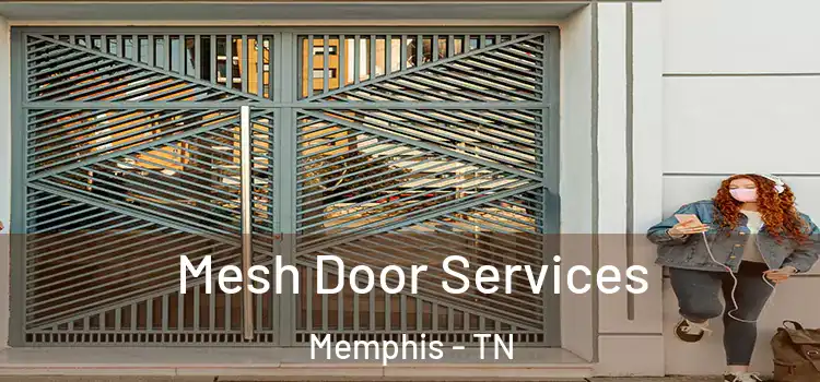 Mesh Door Services Memphis - TN